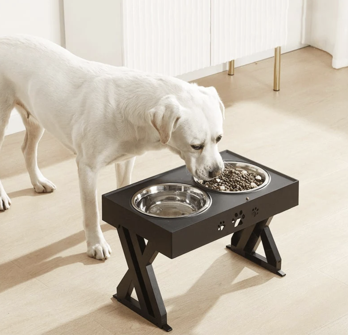 How to Make Mealtime Easier for a Senior Dog With Mobility Issues